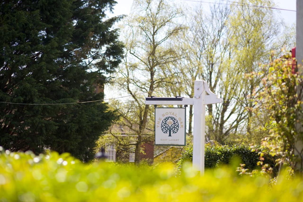 The Royal Oak Inn Chichester Ngoại thất bức ảnh